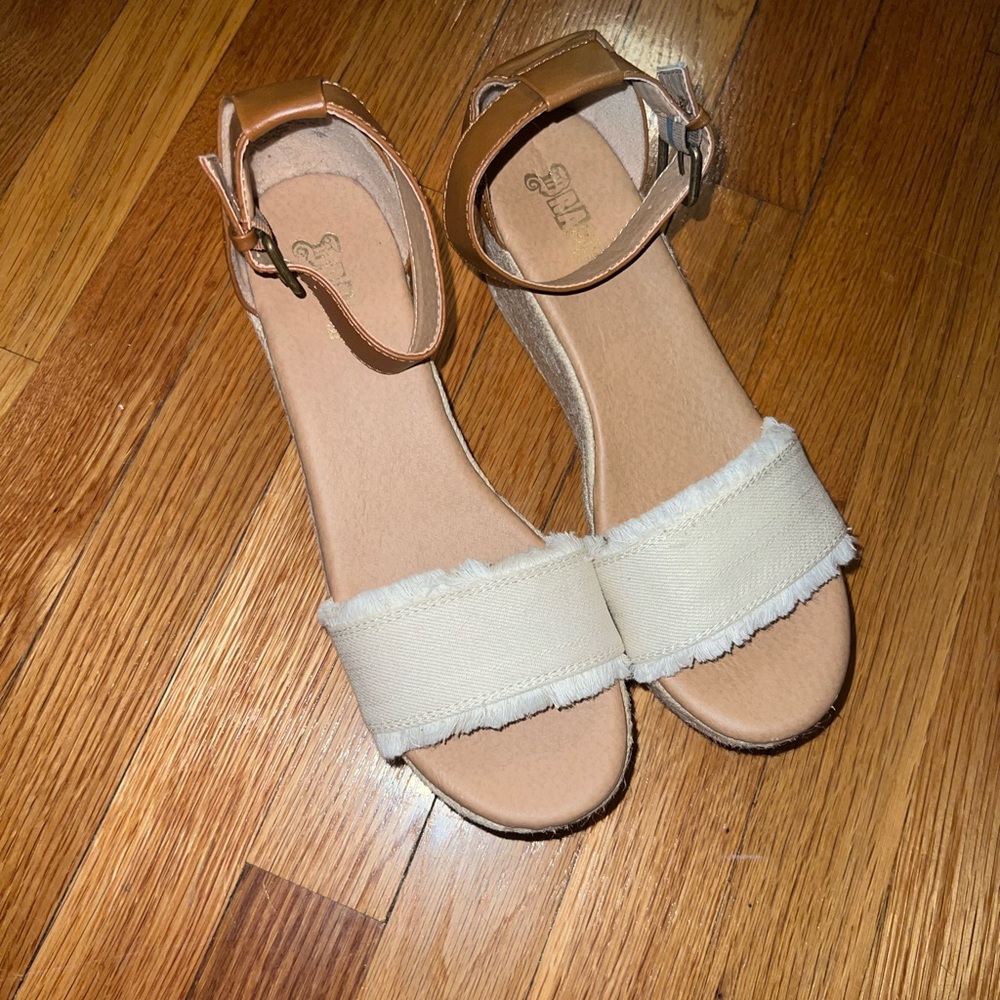 cutest shoes